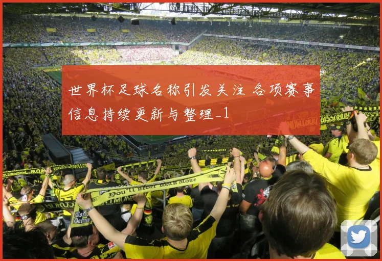 世界杯足球名称引发关注 各项赛事信息持续更新与整理_1